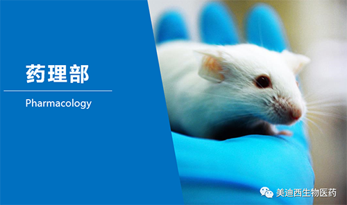 esball药理部开发了肺癌、结肠癌、胃癌等12种PDX模型。