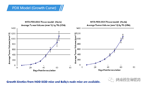 esballPDX药效模型