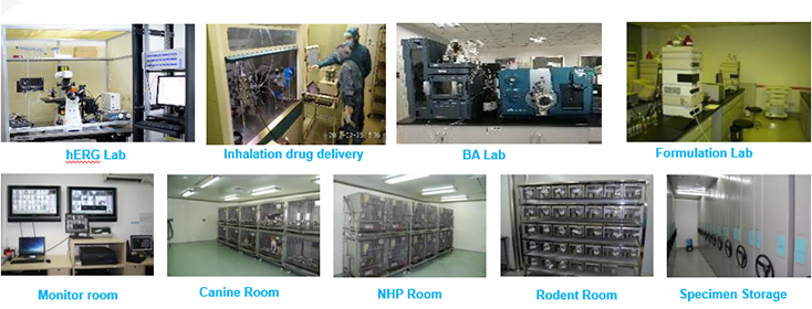 esball毒理钻研部设备