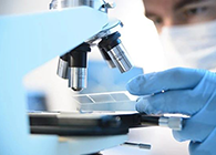 esball代谢产品鉴定(MetlD)服务平台