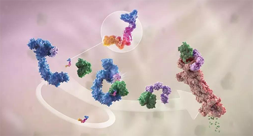 LYTAC出世，与PROTAC并肩作战针对不成成药的靶点