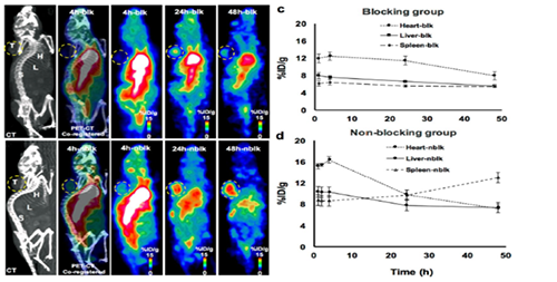 64Cu象征PD-1靶点效应图