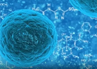 攻克三阴性乳腺癌，蜜蜂毒液竟是关键？