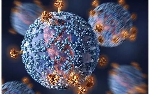 获得性免疫缺点综合征（AIDS）是由人类免疫缺点病毒（HIV)所引起的传染病