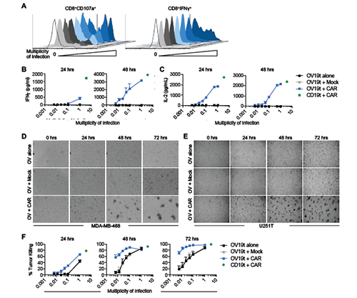 esball(中国区)官方网站