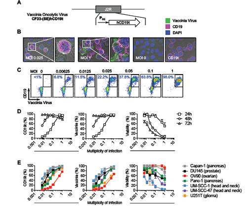 esball(中国区)官方网站
