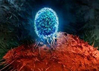 Nature：BATF3改善T细胞影象应答，有望改善免疫疗法的疗效