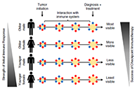 到底为什么ICB疗法在年轻女性肿瘤患者体内收效甚微？