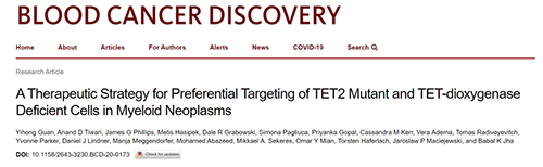钻研者描述了一种新型靶向抗癌药物，这种药物可能会有效地医治某些常见的白血病。