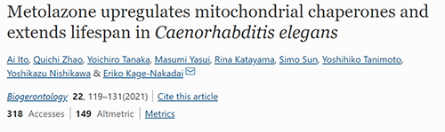 来自日本大阪市立大学的科学家搜索了现有药物的化学“文库”，他们发现一种名为美托拉宗的抗高血压药可耽搁秀丽隐杆线虫的寿命，标志取抗衰老药物开发的第一步