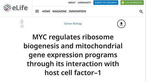 能够“消融”肿瘤的蛋白质，你肯定没有听说过！