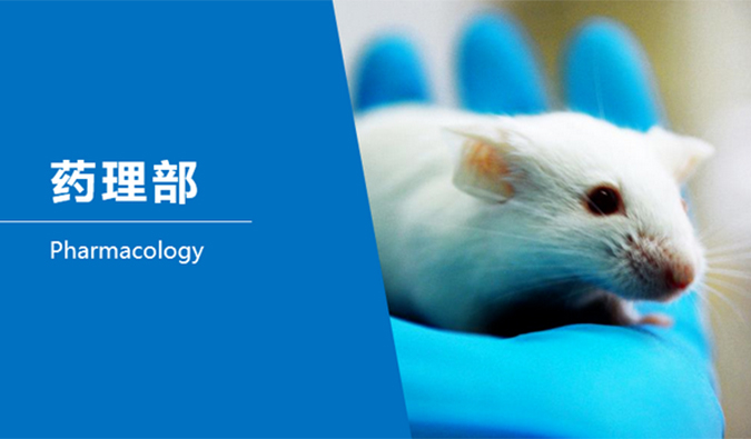 esball临床前钻研-药理部
