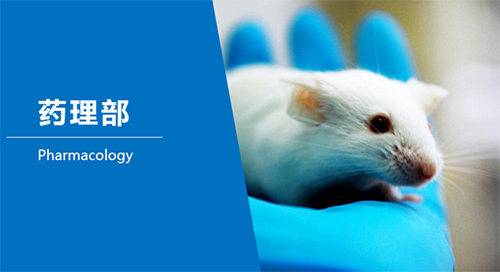 esball临床前钻研-药理部
