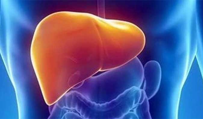 【esball助力】NASH领域新进展！海普丁HPD001即将在美启动临床试验