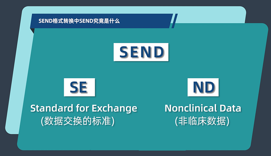 SEND体式转换中的SEND到底是什么？