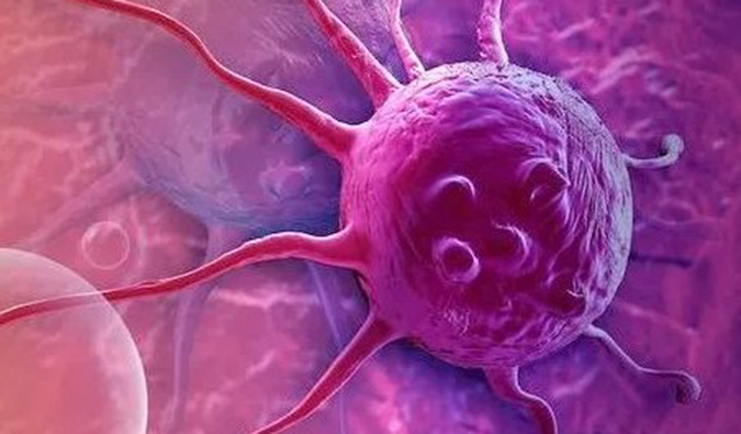 esball助力中国原研高选择性EP4受体拮抗剂YY001获批临床