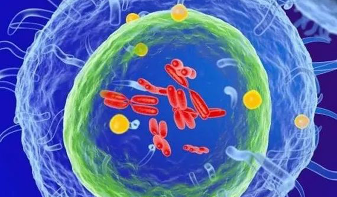  esball助力 | 信诺维抗肿瘤1类新药XNW14010获批临床.png