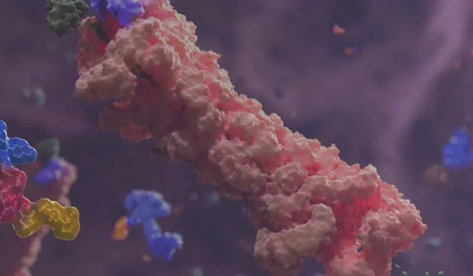 全流程DMPK服务大力互助PROTAC药物研发