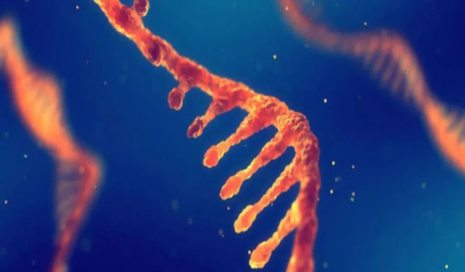 赋能核酸药物疗法，迎接新药研发第三次海潮