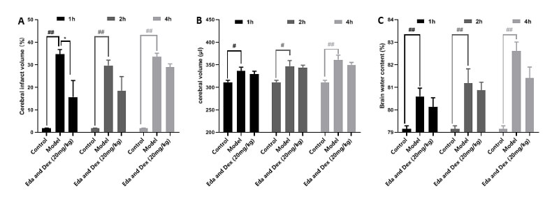 7-医治功夫窗调查-A：TTC；B：脑体积，C：脑含水量.jpg
