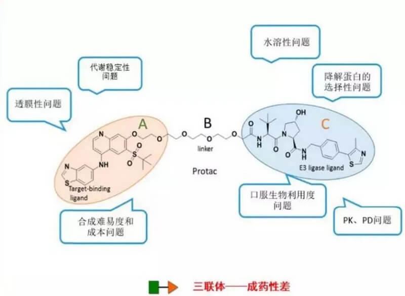 PROTAC分子量较大，溶化性较差.jpg