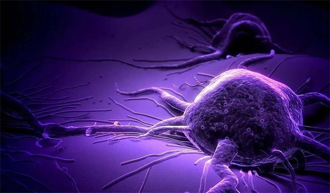 esball助力轩竹生物研发的齐全敲除岩藻糖的双抗ADC药物KM501获批临床