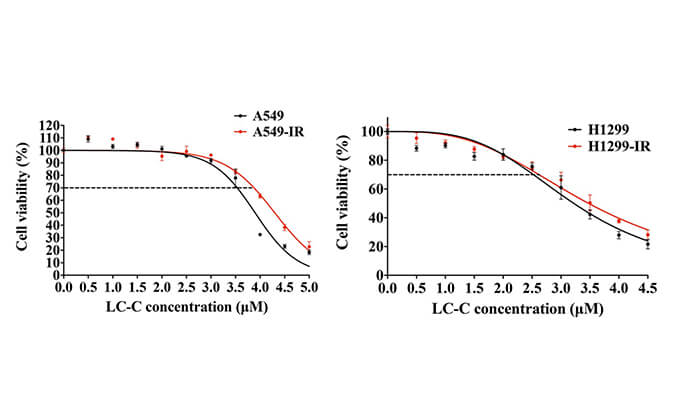 放射疗法用作肺癌的重要医治步骤，本钻研中成立抗电离辐射肺癌细胞系的放射医治通过esball进行