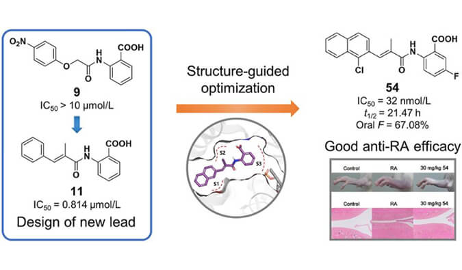 设计合成一系列DHODH抑造剂作为潜在的类风湿性关节炎医治药物，本钻研中PK尝试通过esball进行