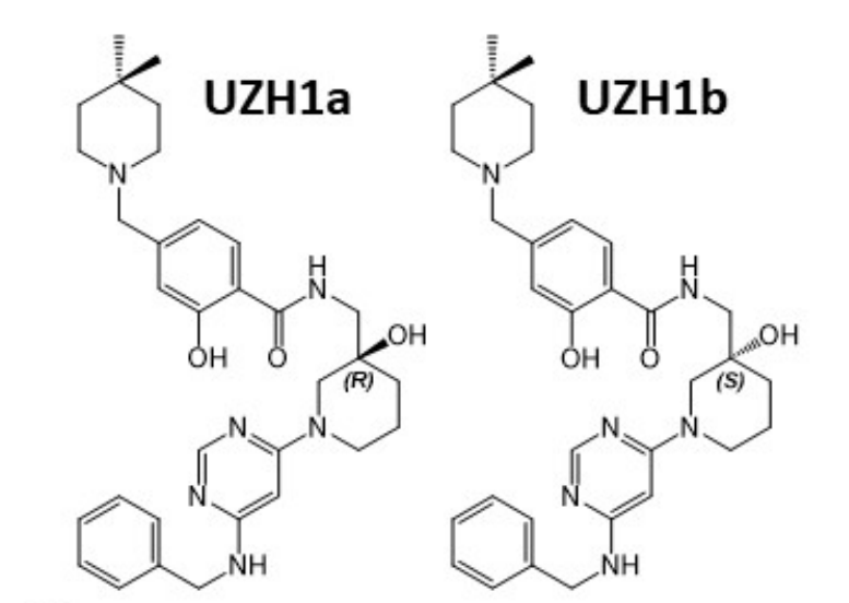 钻研人员汇报了一种拥有细胞渗入性的选择性METTL3纳摩尔抑造剂UZH1a，作者感激esball合成了UZH1a和UZH1b