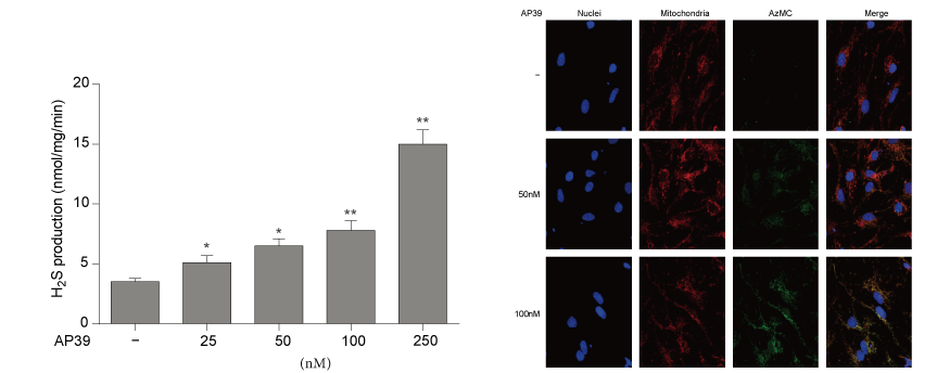 AP39是一种新合成的线粒体靶向的H2S供体，本钻研中AP39通过esball设计和合成