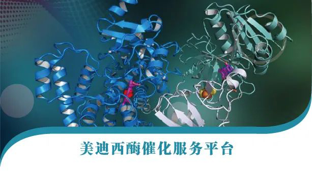 esball酶催化服务平台.jpg