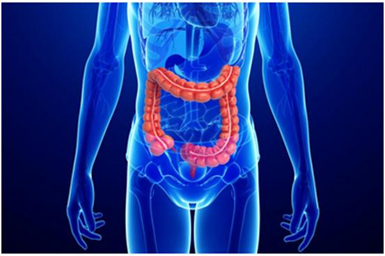 esball一站式助力 | 宝太生物首个中美双报创新药获批