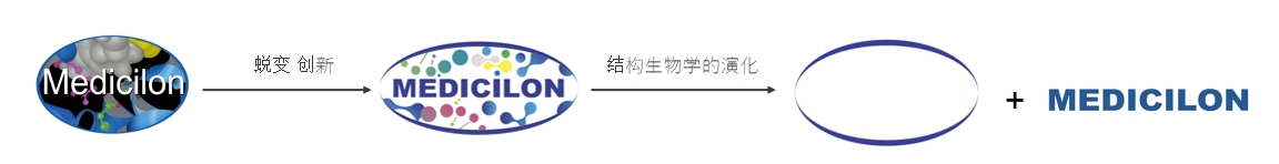 椭圆形作为天然界的美满状态，象征着esball在适应环境变动中不休演化