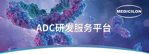 ADC临床前钻研.jpg