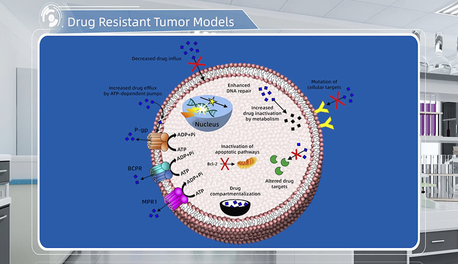 肿瘤耐药机造是什么？