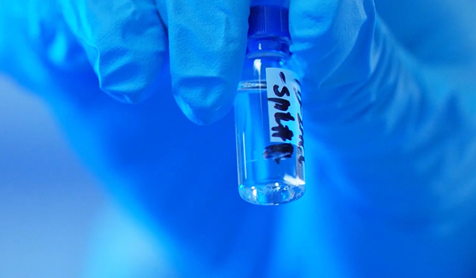 GLP-1“竞快赛”何以夺魁？