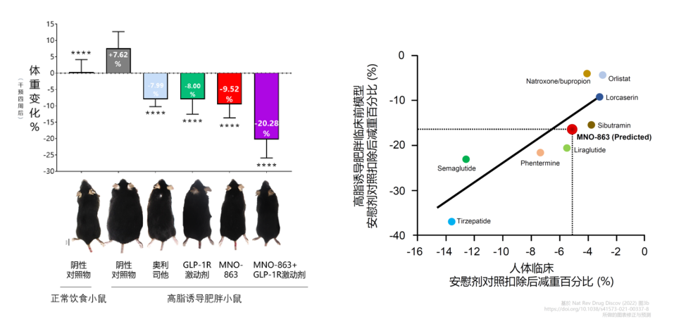 4周降低近10%体沉！esball助力慕恩生物MNO-863活菌生物药获批临床
