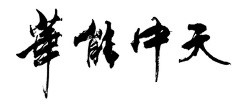 梦之城