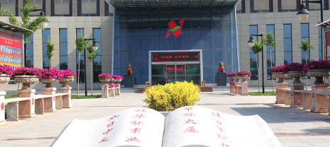 致到访岩棉毡厂家梦之城集团的客户朋侪
