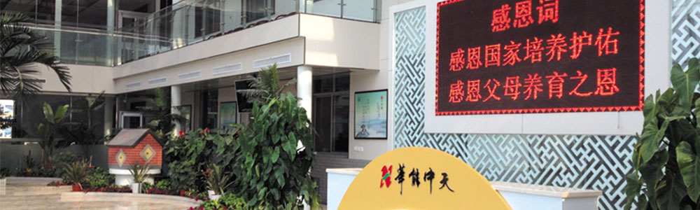 梦之城集团内部